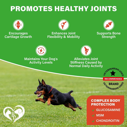 Purrfect Pet Kingdom Senior Dog Hip and Joint Care Supplement Purrfect Pet Kingdom