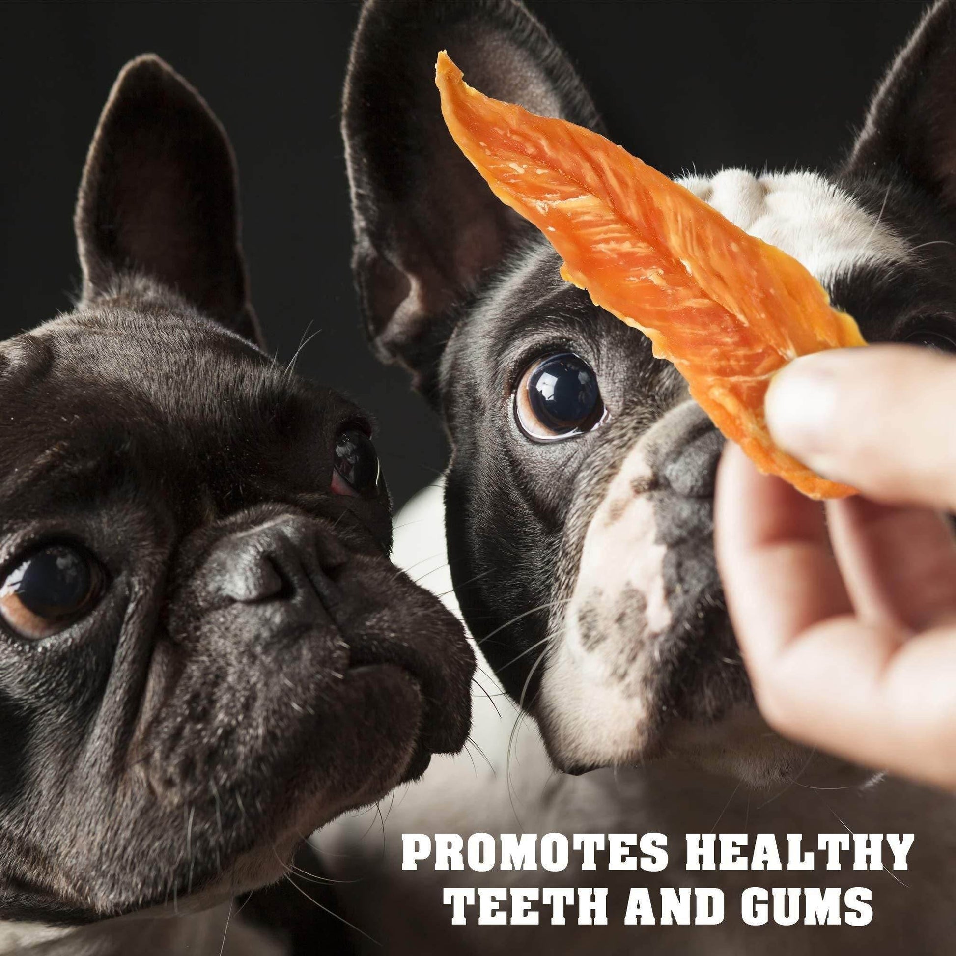 Purrfect Pet Kingdom High Protein Treats for Dogs Purrfect Pet Kingdom
