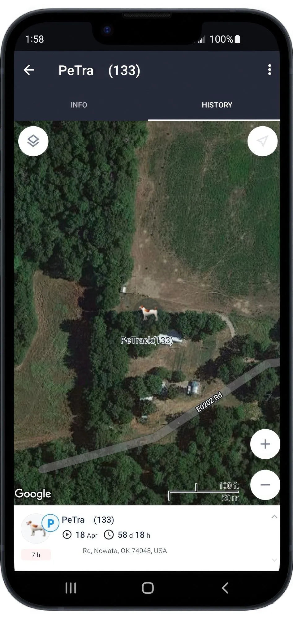 Berry Charmz - Collar Mounted Realtime Pet Locator GPS Portable Rechargeable Tracker Size:L