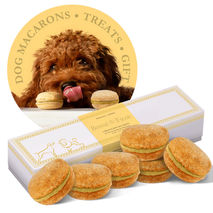 Berry Charmz - Dog Macarons - Count of 6 (Dog Treats | Dog Gifts)