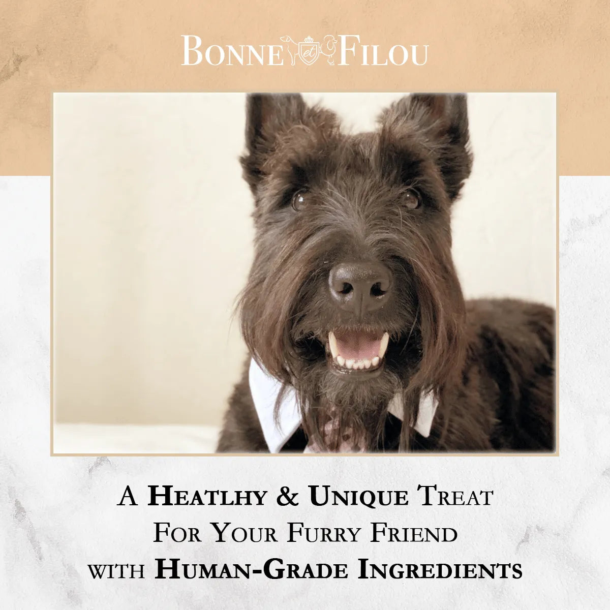 Berry Charmz - Dog Macarons - Count of 6 (Dog Treats | Dog Gifts)