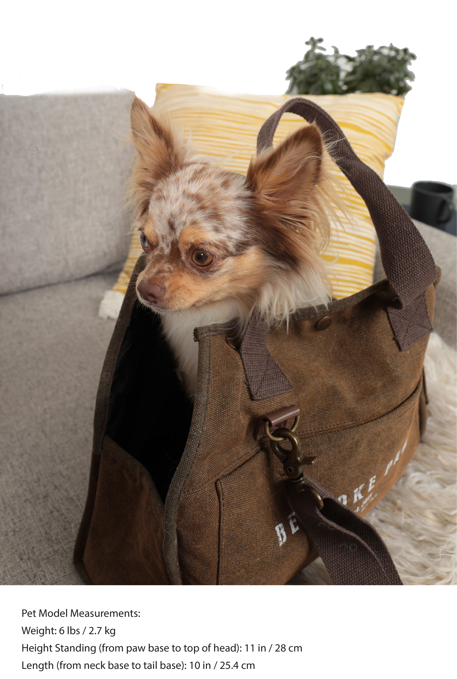 BESPOKE PAWS portable dog and cat carrier with a small dog sitting comfortably inside, perfect for travel