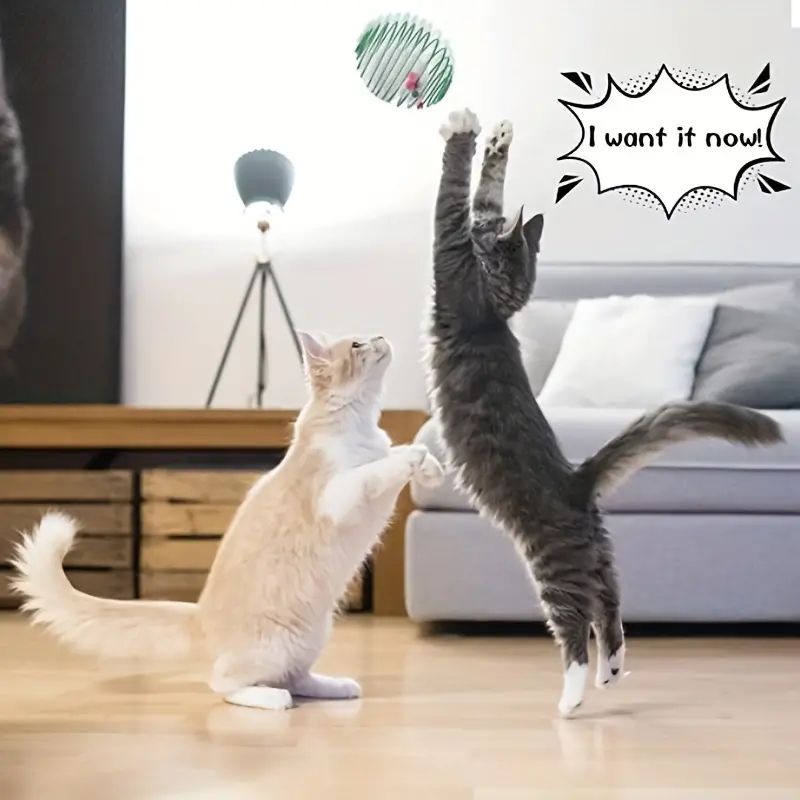 Two playful cats jumping for the Tail Chasers Treat-Dispensing Toy, ideal for the best cat toys for active cats