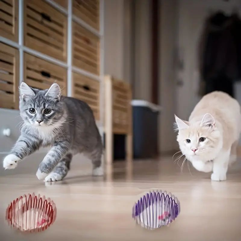 Two playful cats engaging with Tail Chasers toys, ideal for the best cat toys for active cats