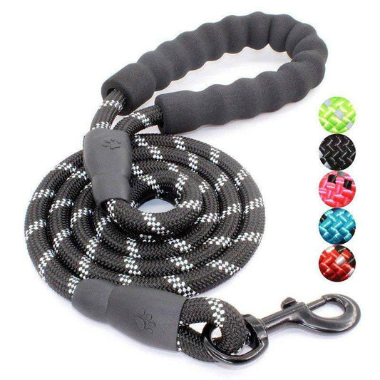 Purrfect Pet Kingdom Best Leash for Nighttime Dog Walks 1.2cm*150cm Sky Blue Purrfect Pet Kingdom