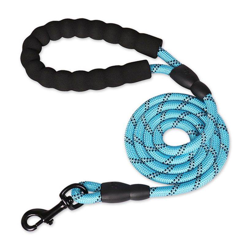 Purrfect Pet Kingdom Best Leash for Nighttime Dog Walks Purrfect Pet Kingdom