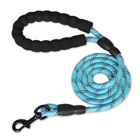 Purrfect Pet Kingdom Best Leash for Nighttime Dog Walks Purrfect Pet Kingdom