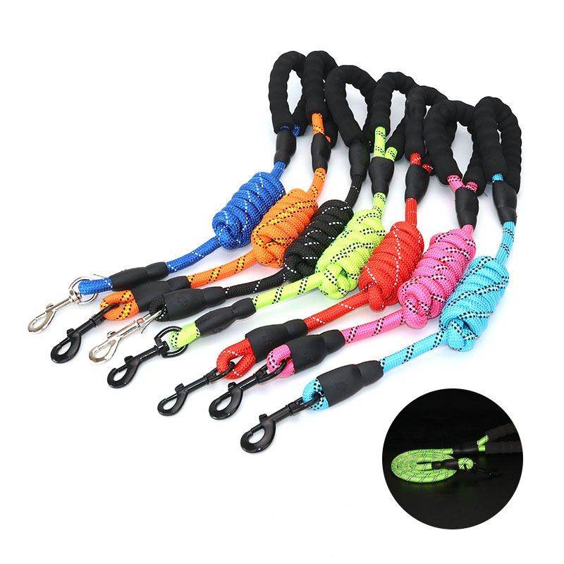 Purrfect Pet Kingdom Best Leash for Nighttime Dog Walks Purrfect Pet Kingdom