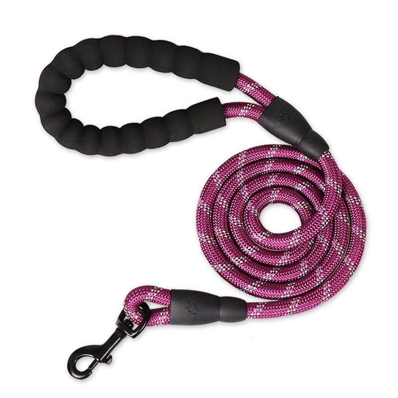 Purrfect Pet Kingdom Best Leash for Nighttime Dog Walks Purrfect Pet Kingdom