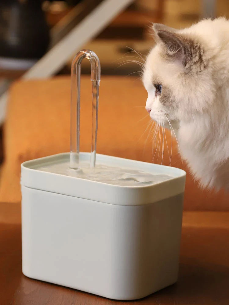 Modern pet water fountain for cats and dogs with a clear water spout, perfect for hydration