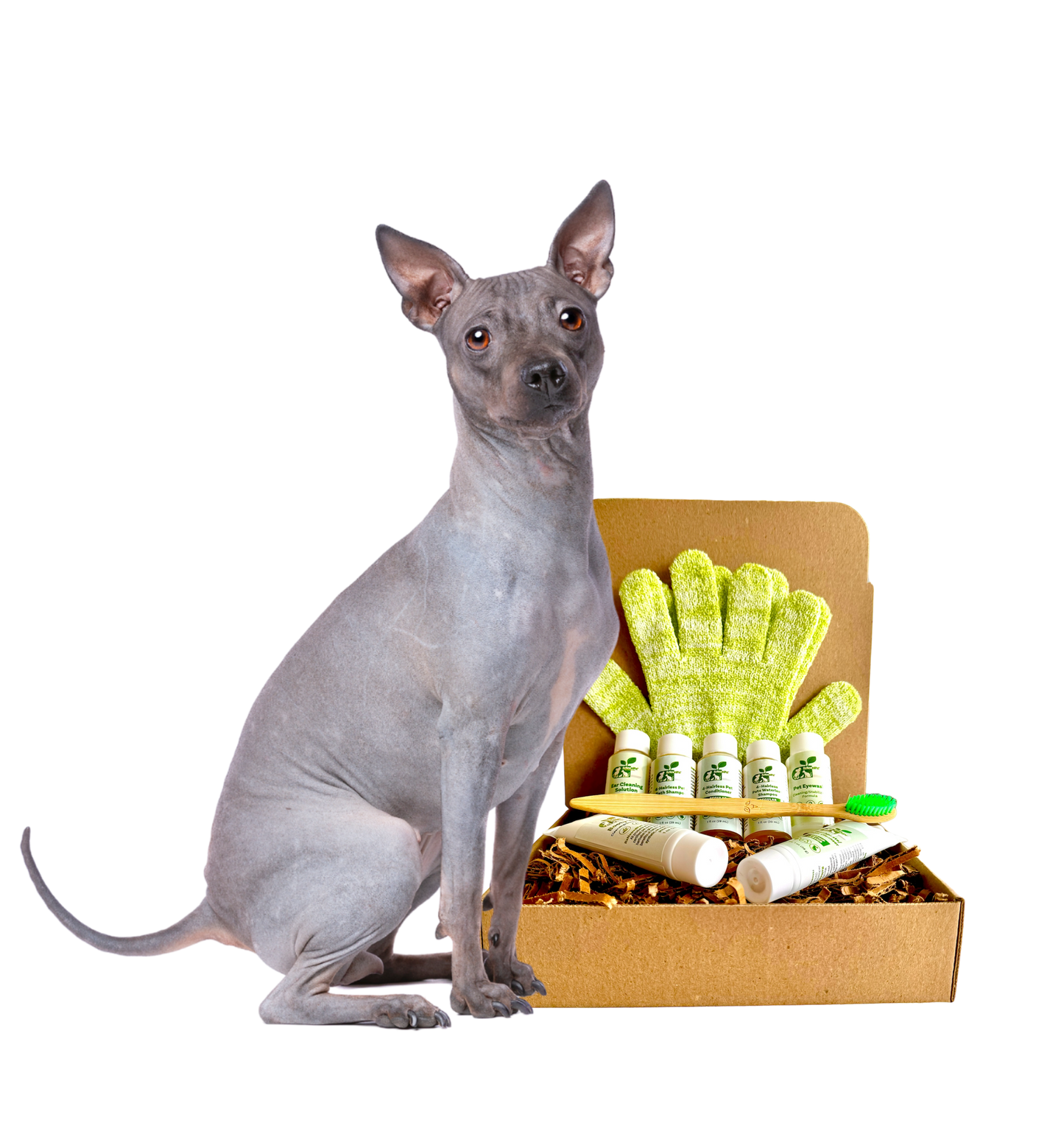 ReNewedPet grooming kit for hairless dogs with natural products and grooming gloves, the best products for hairless dogs.
