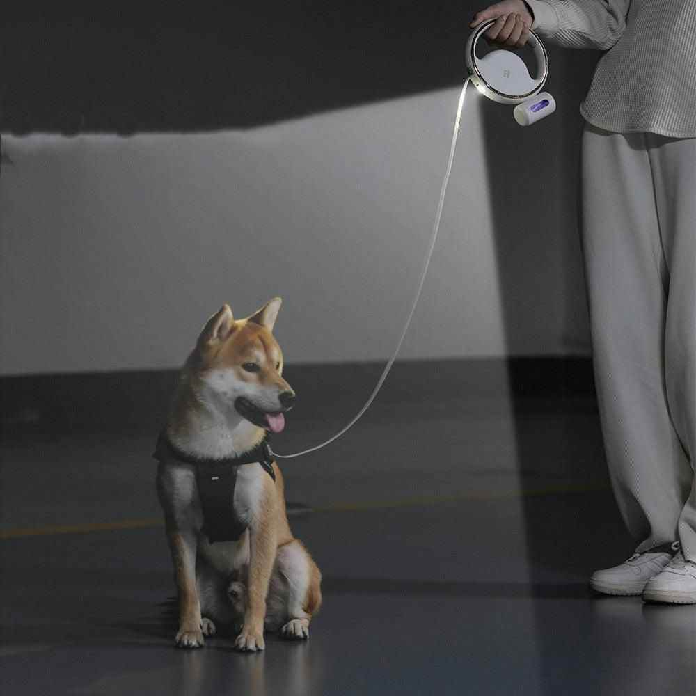 Purrfect Pet Kingdom Best Reflective Dog Leash for Walking Purrfect Pet Kingdom