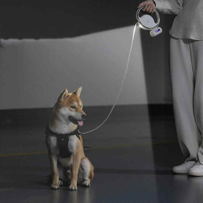 Best reflective dog leash for walking with built-in LED light held by person walking a dog at night