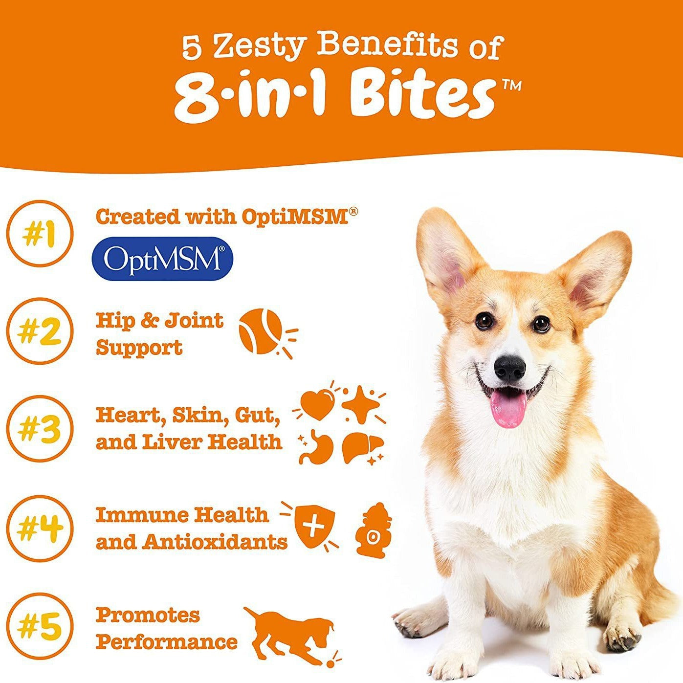 8-in-1 Bites multivitamins for dogs with benefits like joint support and immune health, best vitamins for dog health
