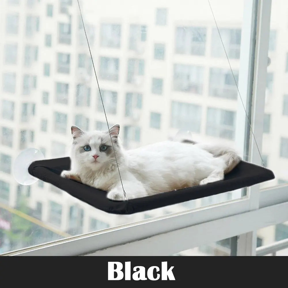 White cat lounging on black elevated window perch by Purrfect Pet Kingdom best window seat for cats