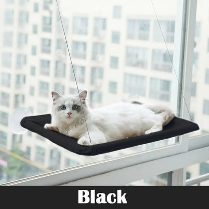 White cat lounging on black elevated window perch by Purrfect Pet Kingdom best window seat for cats