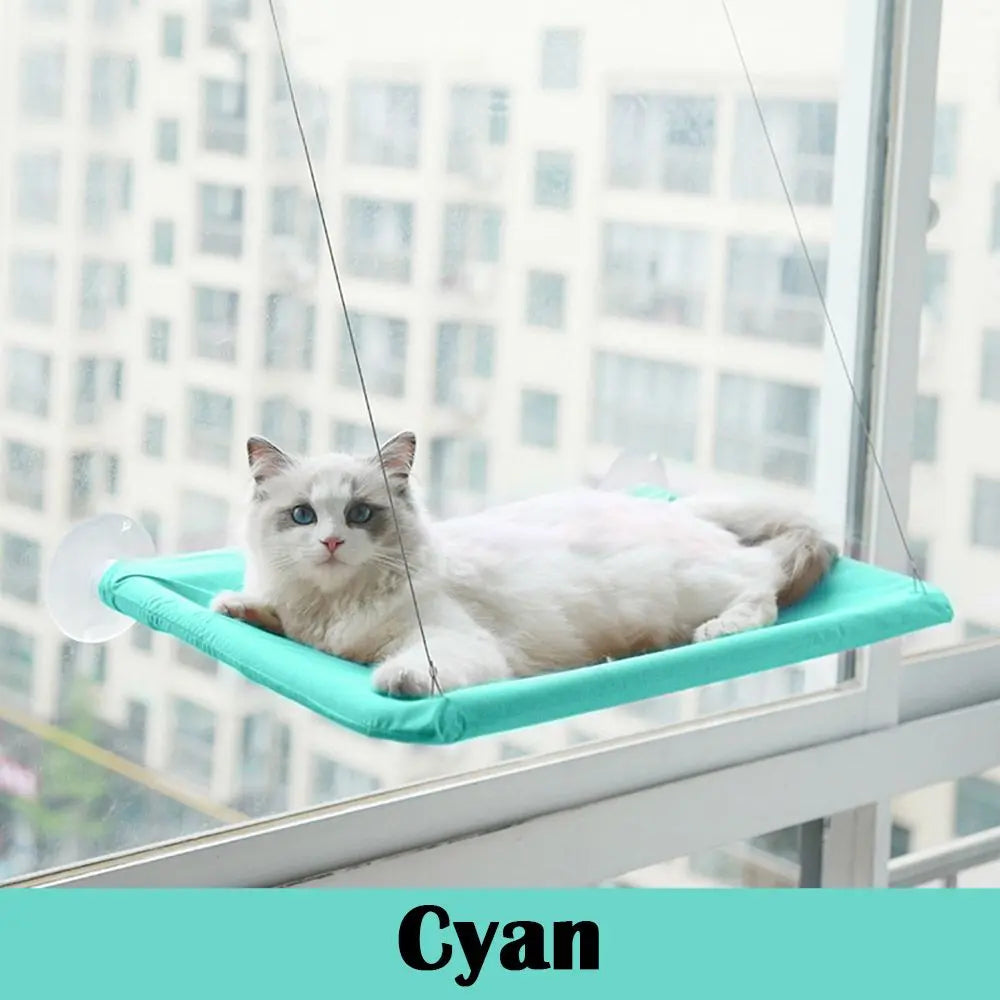 Cat lounging on cyan elevated perch attached to window the best window seat for cats by Purrfect Pet Kingdom