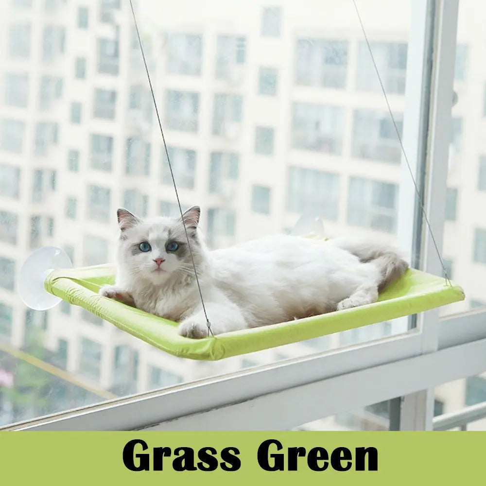 Purrfect Pet Kingdom grass green elevated perch hanging on window with white cat resting best window seat for cats