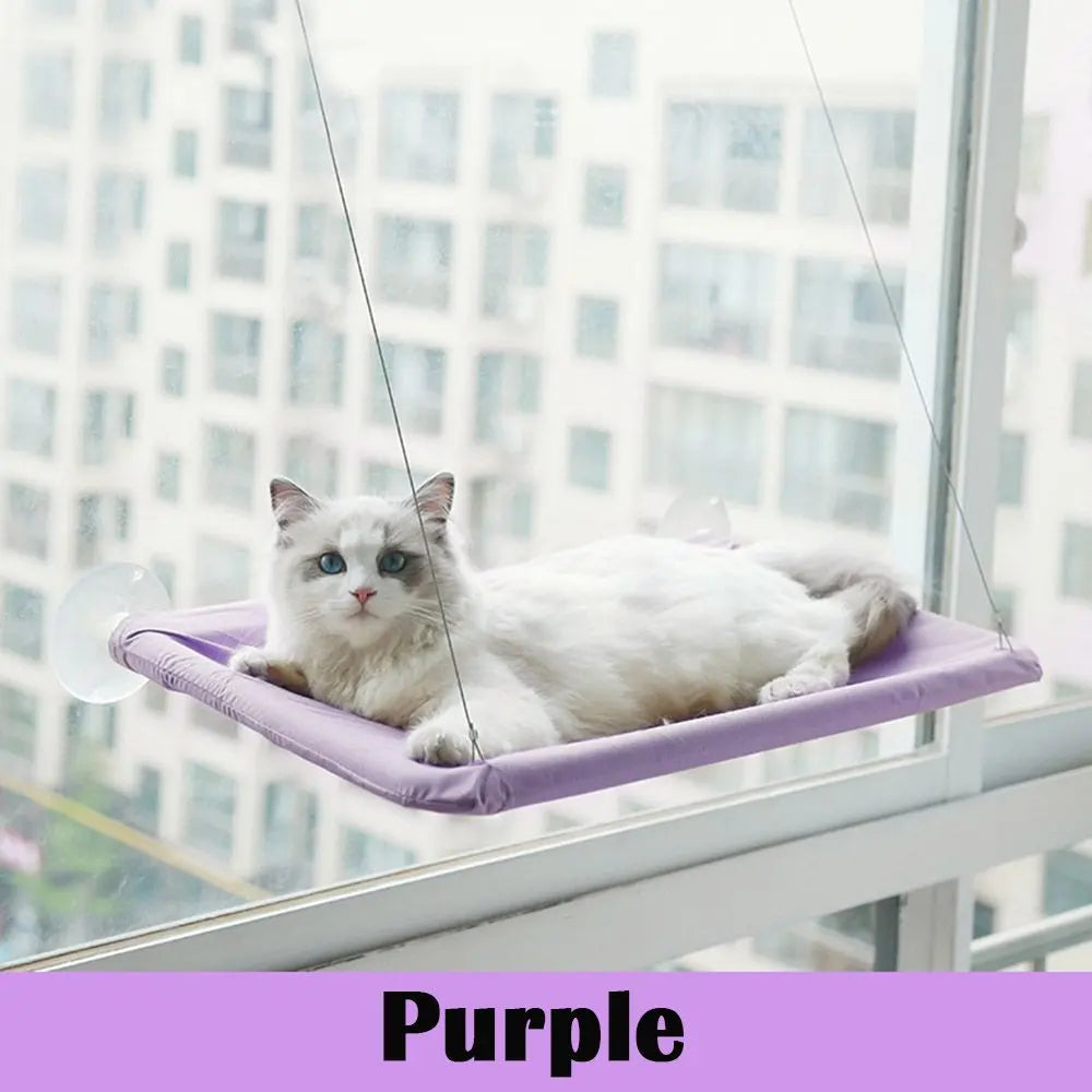 Purple elevated cat perch attached to window glass with a white cat resting comfortably the best window seat for cats
