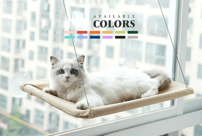 White cat resting on beige elevated perch by window showing best window seat for cats with city view