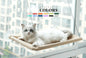 Purrfect Pet Kingdom beige elevated cat perch with white cat lounging on best window seat for cats