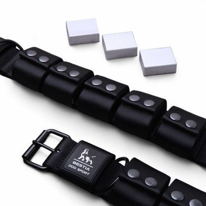 BESTIA DOG SPORT Weighted Dog Training Collar