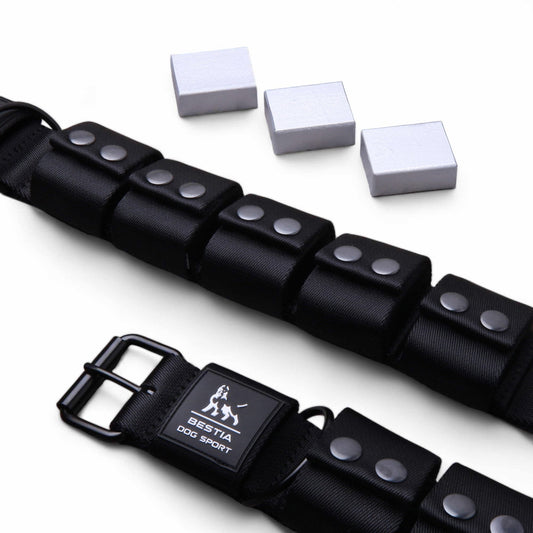 BESTIA DOG SPORT Weighted Dog Training Collar