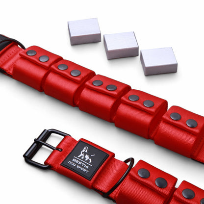 BESTIA DOG SPORT Weighted Dog Training Collar