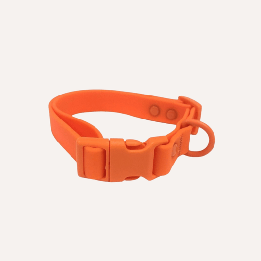 PVC Dog Collar - All Weather Waterproof Durable & Odor - Resistant - Waterproof Dog Collar - Tilley + Me - California Poppy - Small - TMP0002 - pvc - org - sm