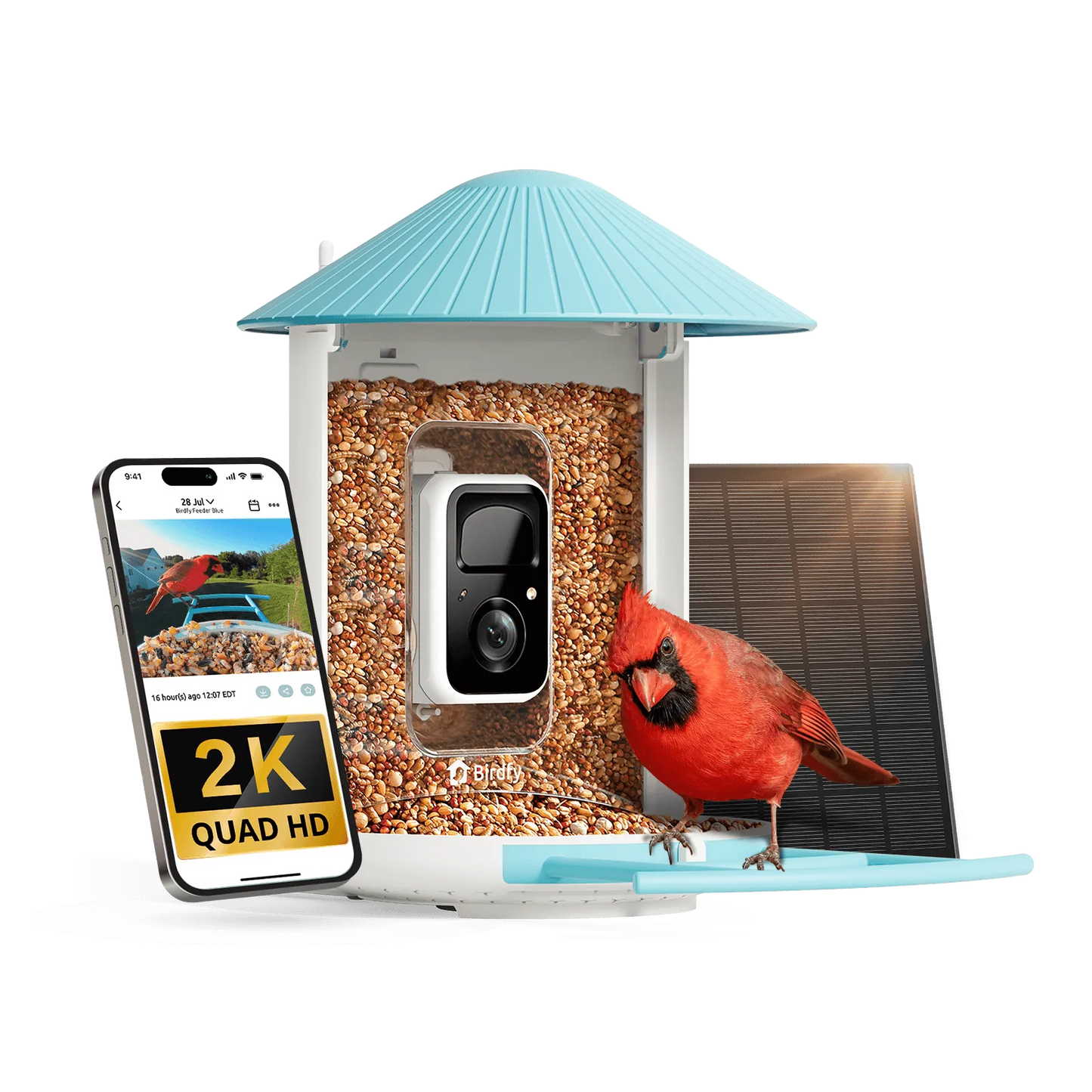 Birdfy - Birdfy Feeder - AI-Powered Smart Bird Feeder with Camera - Birdfy Feeder