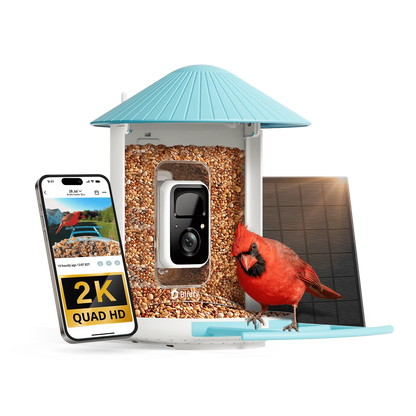 Birdfy - Birdfy Feeder - AI-Powered Smart Bird Feeder with Camera - Birdfy Feeder