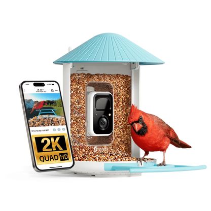 Birdfy - Birdfy Feeder - AI-Powered Smart Bird Feeder with Camera - Birdfy Feeder