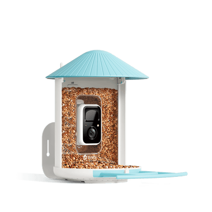 Birdfy Feeder - AI-Powered Smart Bird Feeder with Camera