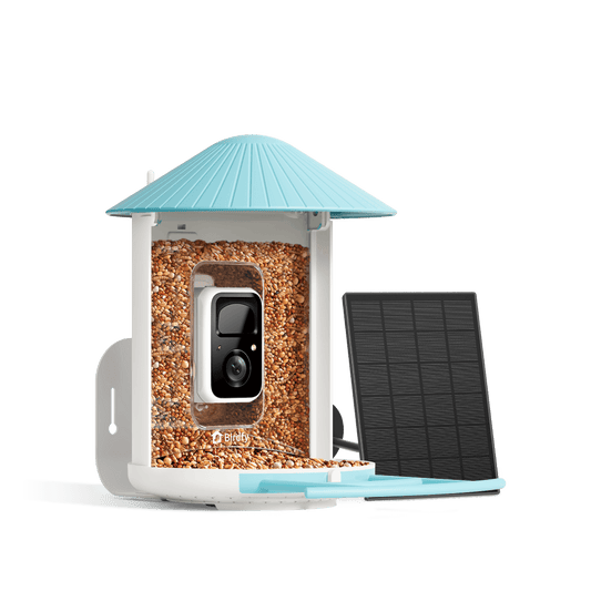 Bird Feeder – Birdfy Solar-Powered Smart Camera Video Tank
