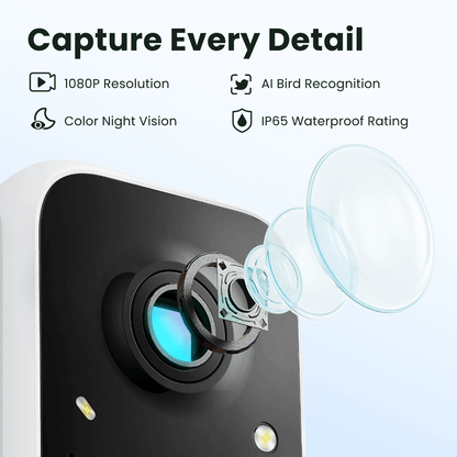 Birdfy Feeder - AI-Powered Smart Bird Feeder with Camera