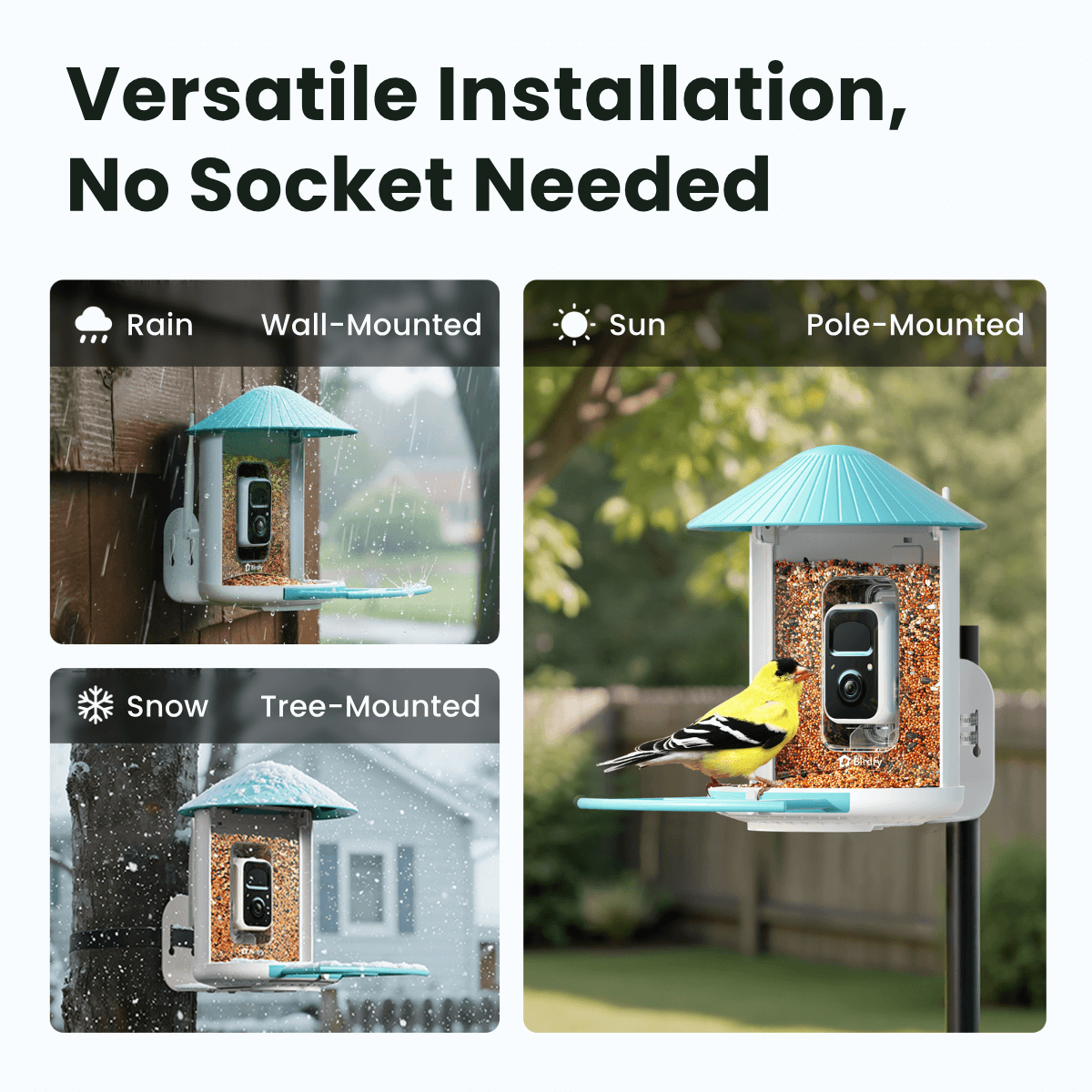 Bird Feeder – Birdfy Solar-Powered Smart Camera Video Tank