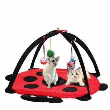 Black Ladybug Cat Play Mat by Purrfect Pet Kingdom, 29.99, features a padded base and hanging toys, ideal for playful cats.