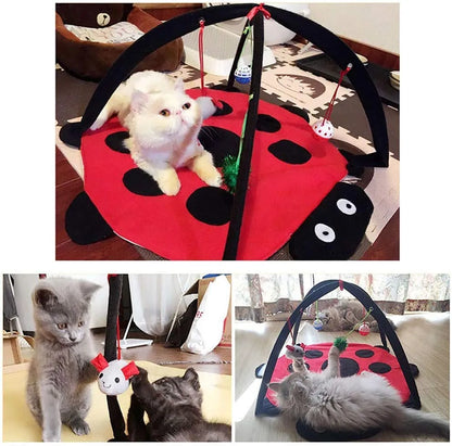 Black Ladybug Cat Play Mat by Purrfect Pet Kingdom, padded base with hanging toys, perfect for playful cats, 29.99.