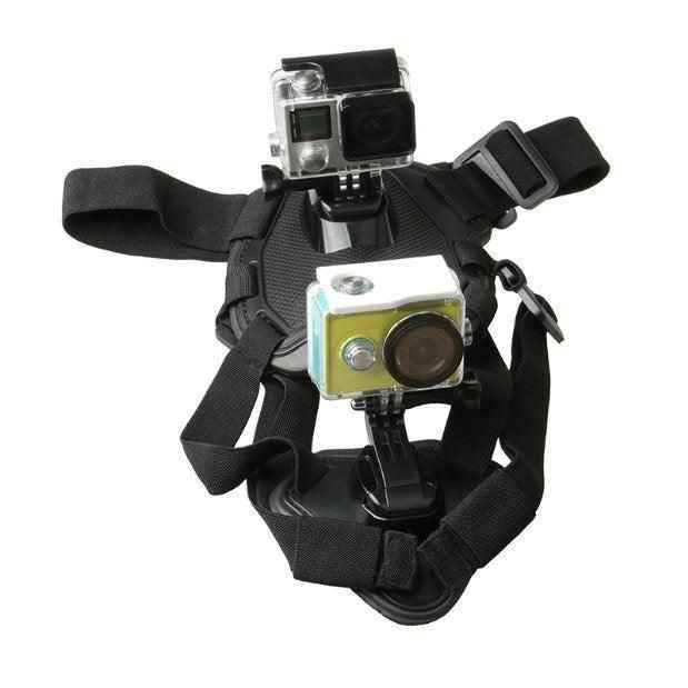 Purrfect Pet Kingdom Adjustable No-Pull Harness with Pet Adventure Camera Gear Purrfect Pet Kingdom