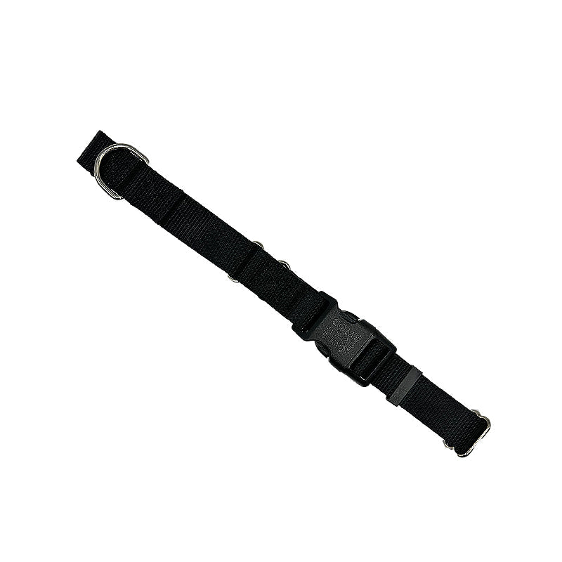 Martingale Dog Collar - Purrfect Pet Kingdom