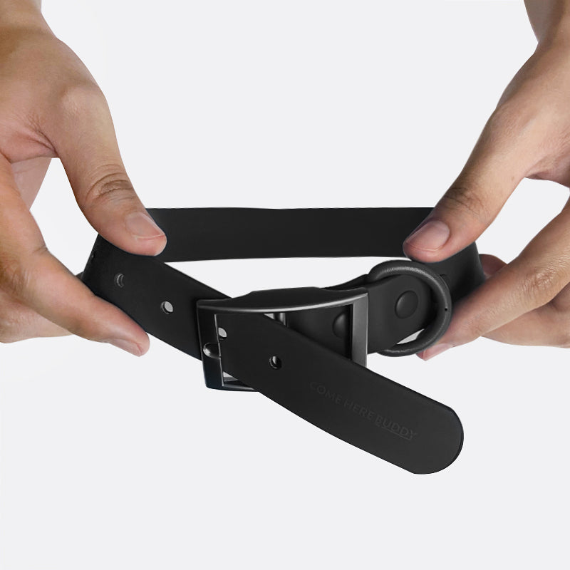 Everyday Collar - Purrfect Pet Kingdom