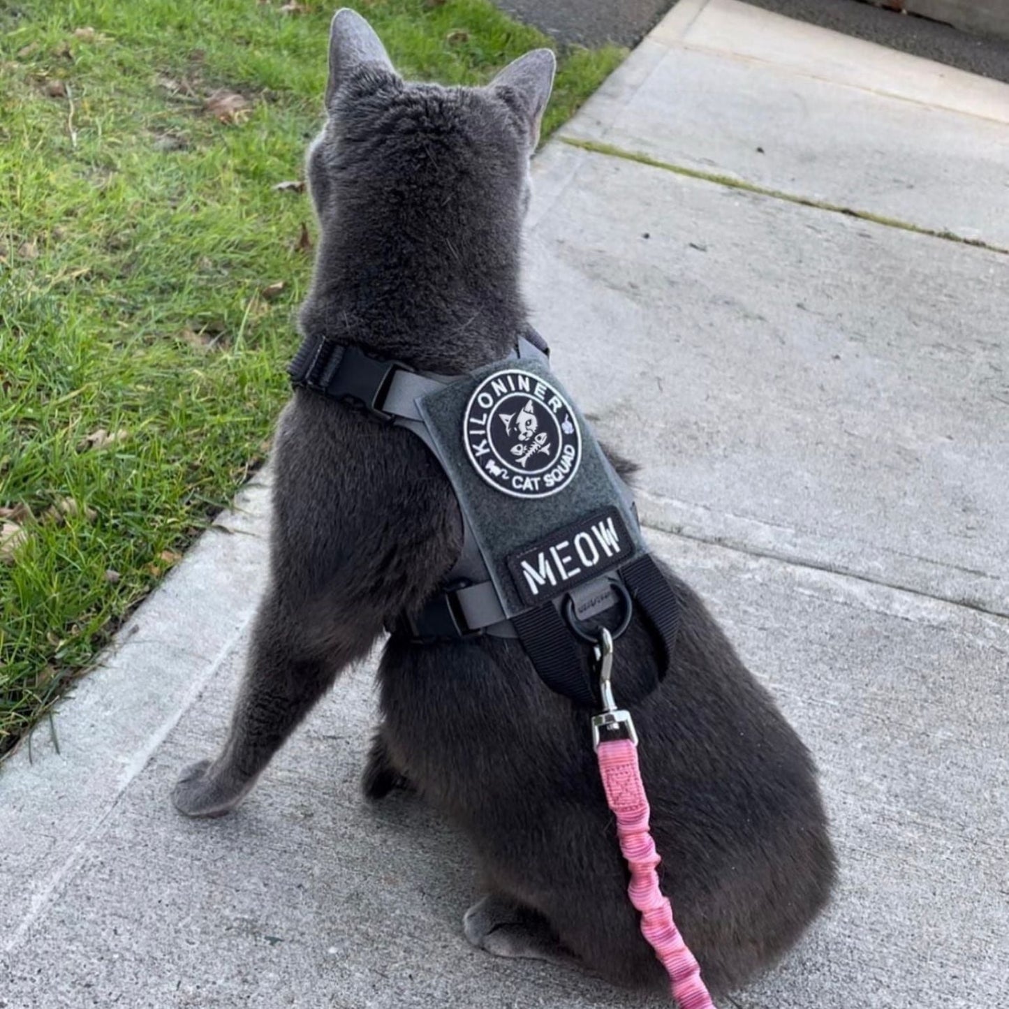 CAT SQUAD Morale Patch