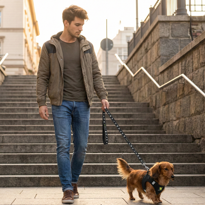 EcoBark Step In Dog Harness Reflective Mesh For Small Breeds