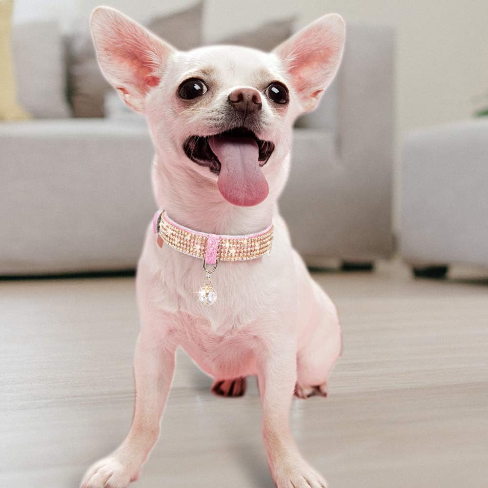 Cute Chihuahua wearing a bling cat collar with charm, showcasing stylish design and sparkle