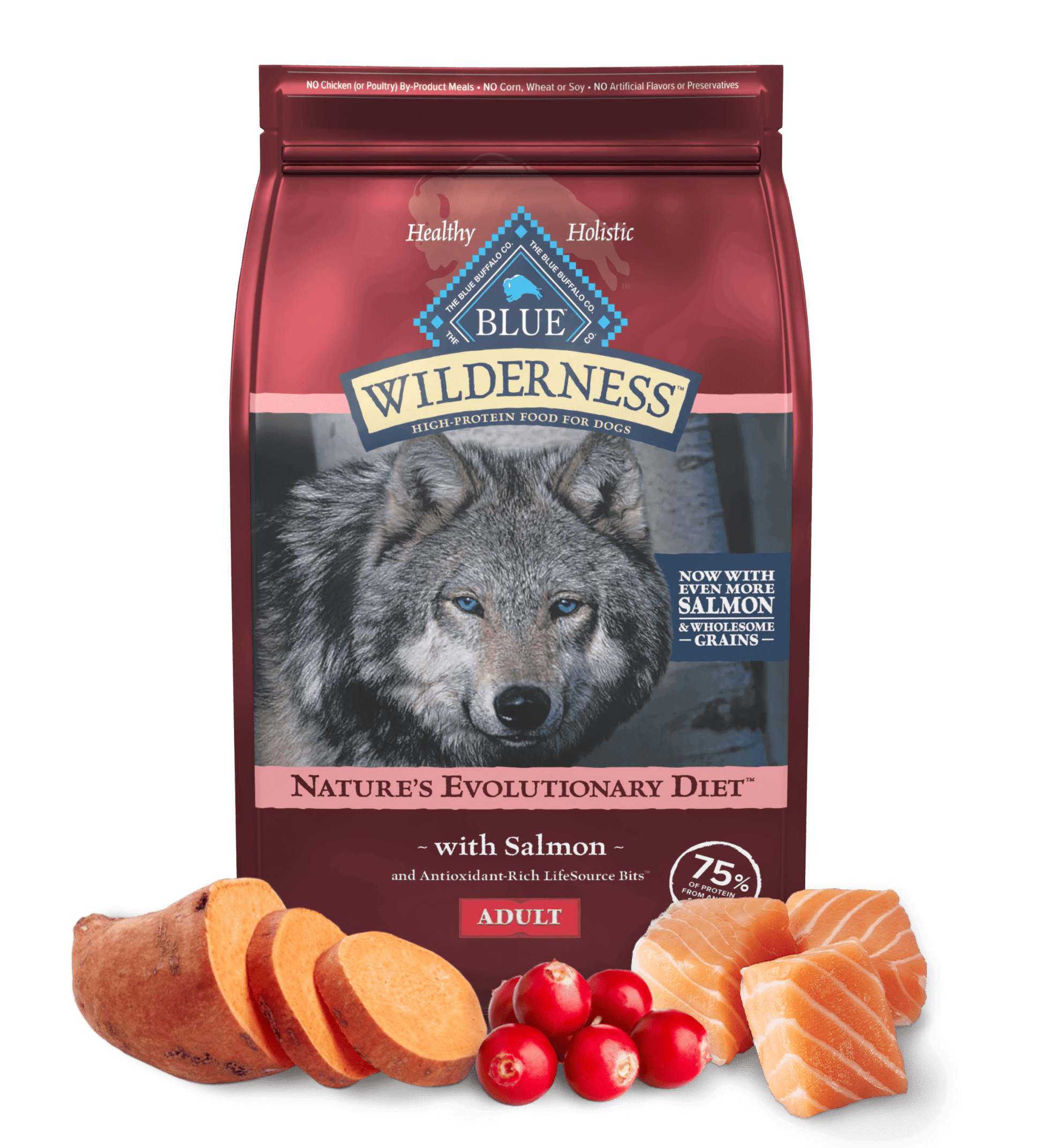 Blue Buffalo Wilderness salmon dog food with sweet potatoes and cranberries for healthy adult dogs