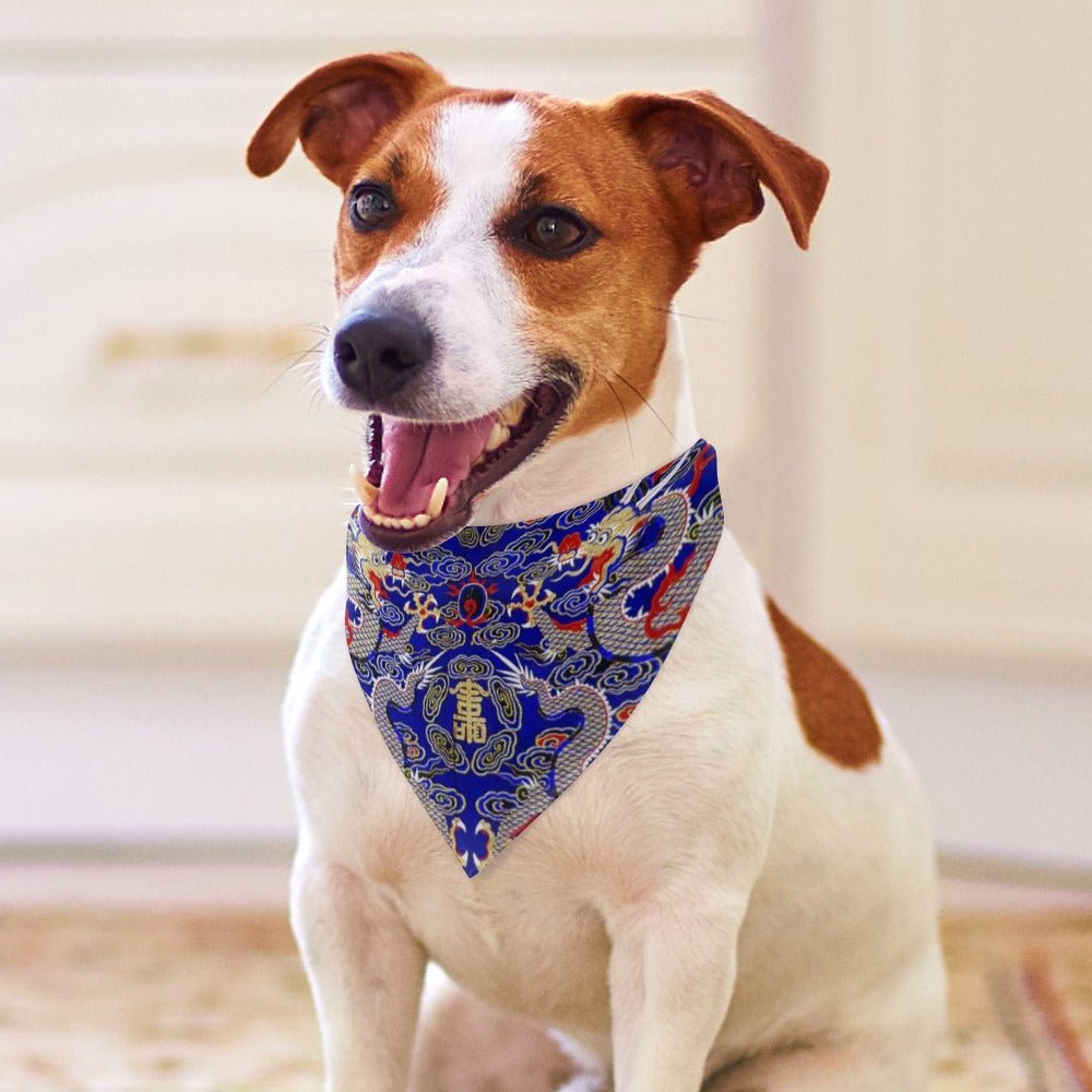Pet Supply Blue Imperial Dragon Scarf for Daily Use Essentia - close up product image for pet supply