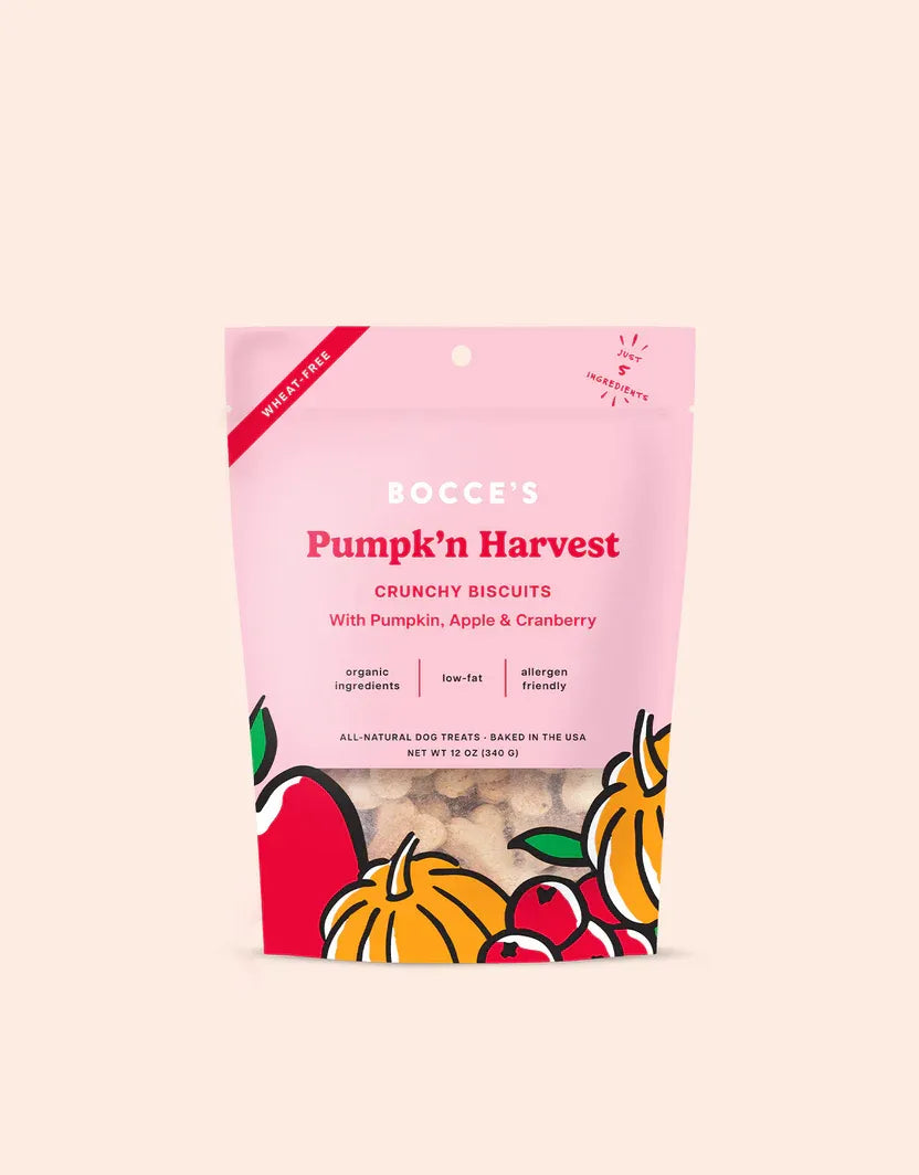 Bocce's Bakery Pumpkin Harvest Dog Biscuits in a 12oz bag by The Family Pet, perfect for small dogs and budget-friendly tr...