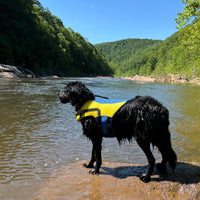 Body Glove Ripstop Pet Life Jacket