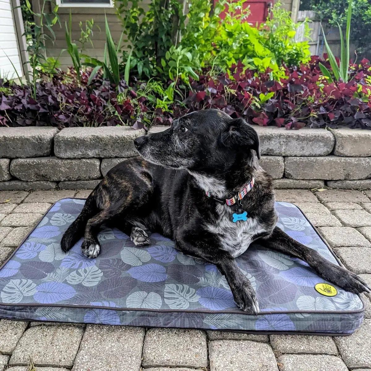 Body Glove Sand & Sun Tough Mat - Purrfect Pet Kingdom