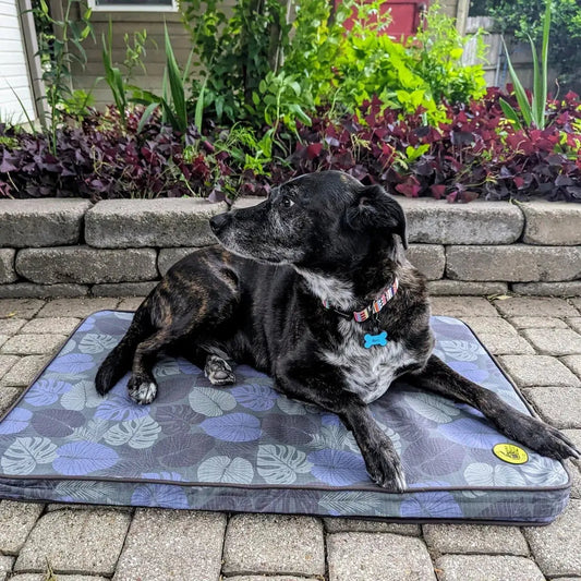 Body Glove Sand & Sun Tough Mat - Purrfect Pet Kingdom